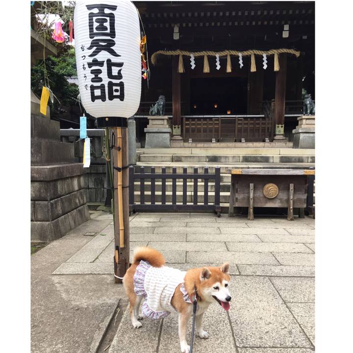 19276ebb 86df 4b52 a1cc 6de0e451f88e