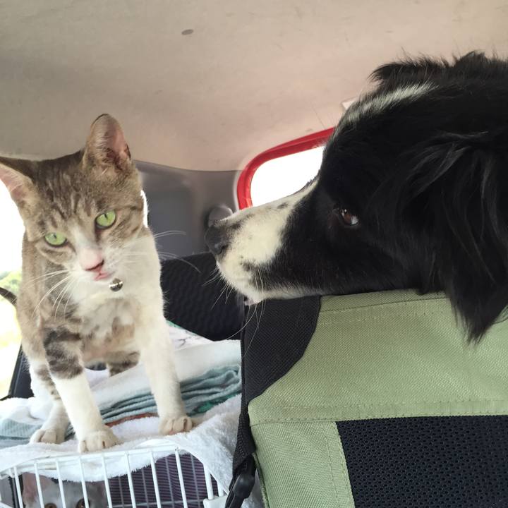 1927ab31 61ce 4c85 910f 9db005c9b2b0