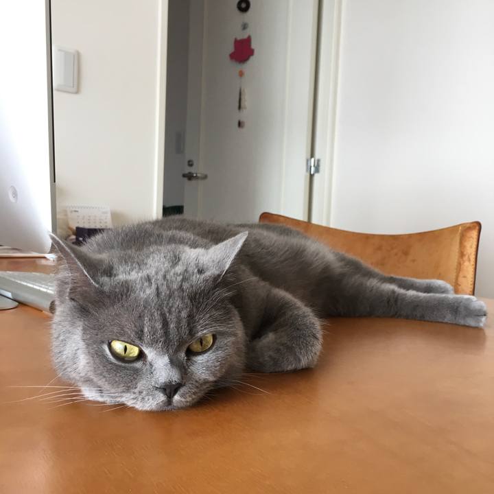 1927c0af 8895 4bde a5e7 eaf5cdf0fa06