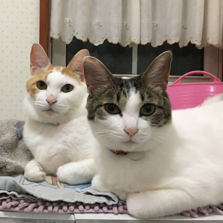 1927f791 6077 4fe6 9dfb 24963b6cea24