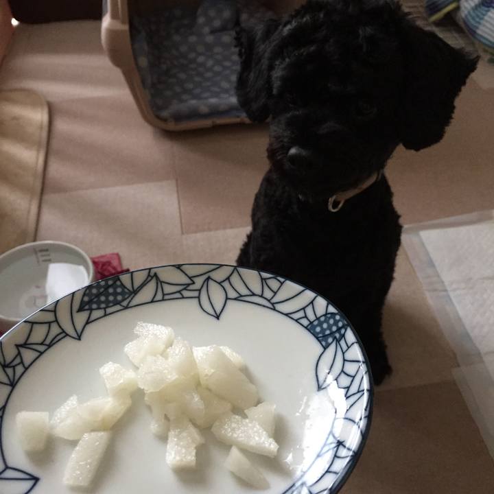 19281183 3ac5 40ba b916 f87c49fac055