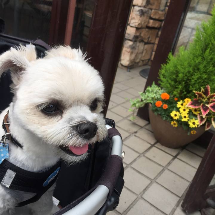 19284104 ac35 4a06 8977 c5f97e4e6f7e