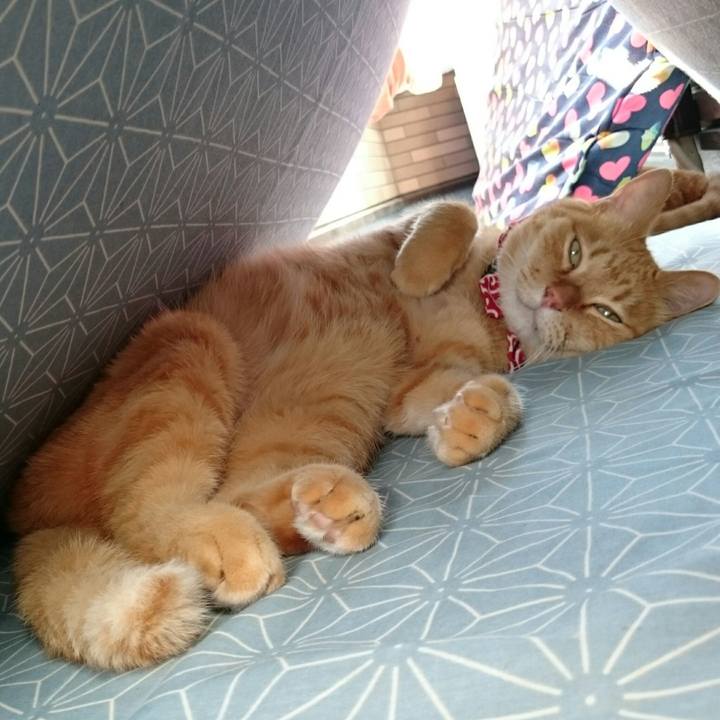 192912e0 3090 4bea a777 1b191f3956a6