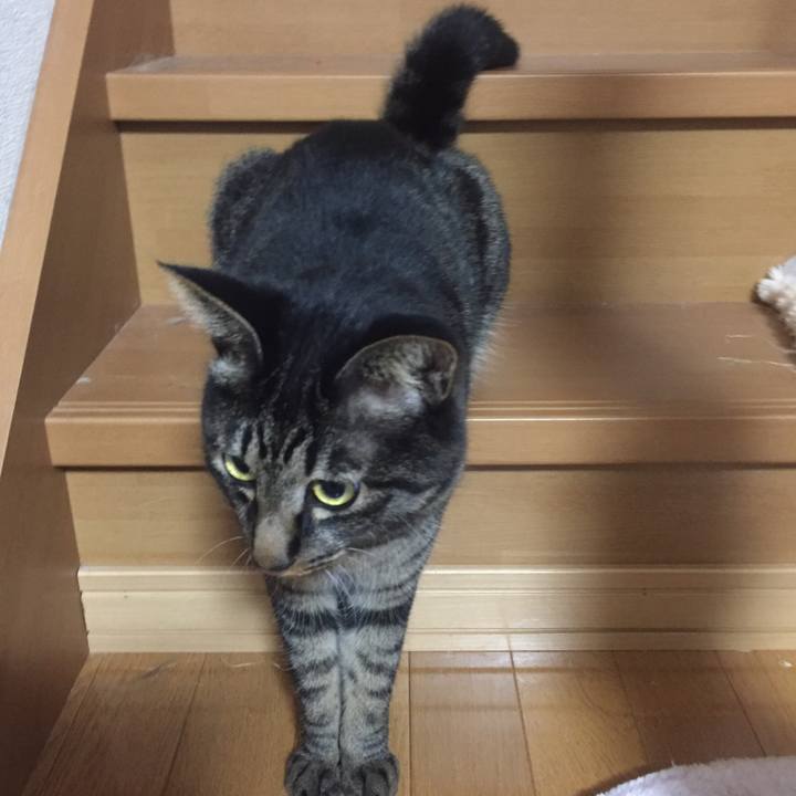 1929f51d f9ee 480a aa99 18bbe01e5ad2