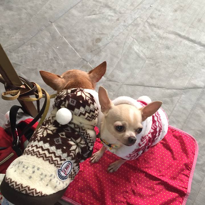 192a01aa a4aa 4603 aeeb 960b57792adc