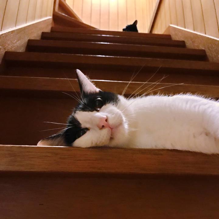 192accb8 723c 4516 bd33 04c14db76e65