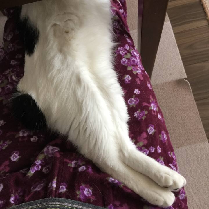 192b0b98 c0de 42a9 a18b 2f0e143dba32