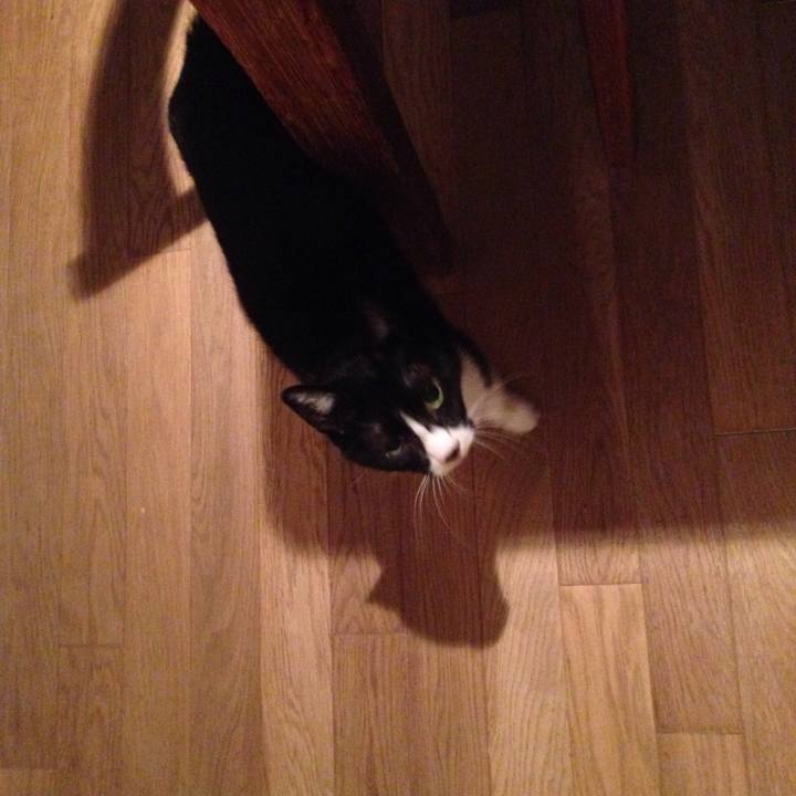 192b1398 c650 496c 9e62 0082f04ca2e6