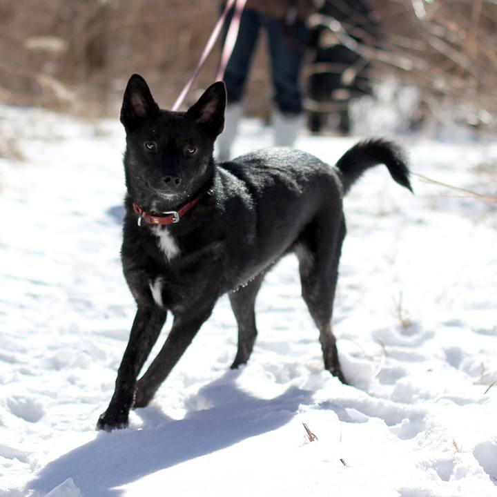 192b590d 267a 46ef a0dc c678a6048628