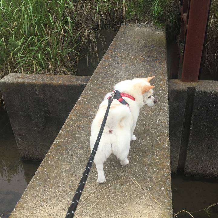 192bc1f3 8d60 4866 8d6c cdc1a9920742