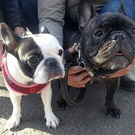 192c217e 14e2 44d0 ab8e 87fdafd87011