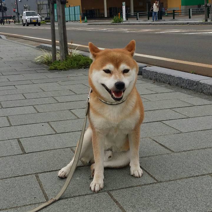 192c9e1d fde8 4a81 adc4 0d1c23048fb3