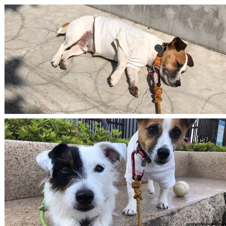 192ca15f 1ea3 40ae 8bcc 1e5d2e19f8c8