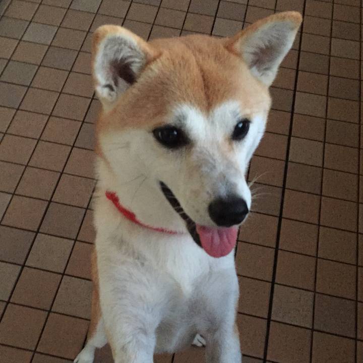 192cc63c 005a 4476 b1a0 c0c2192d71a1