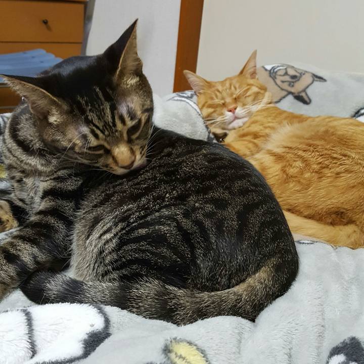 192cd360 509a 482b a25b c0980df81533