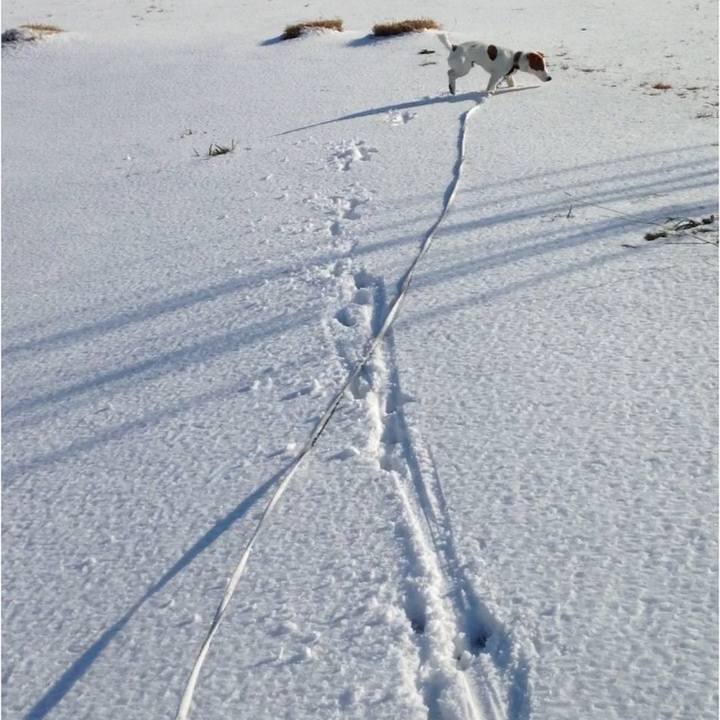 192cf353 7db2 443a 8f1e e4e8ca38d3c9