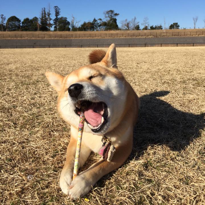 192d9aab 5485 4809 b469 4aff1950981e