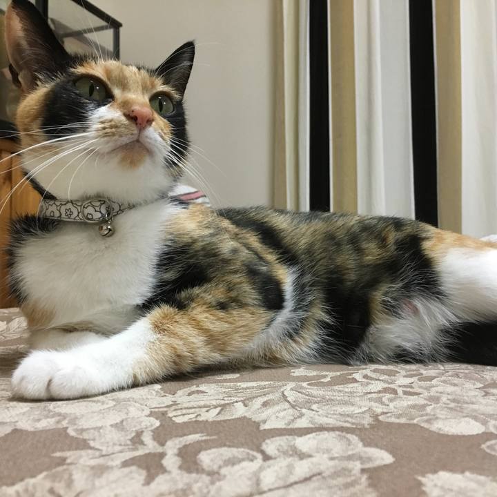 192e0ec4 5a4d 40b4 9c8c d21ac5b3fc5a