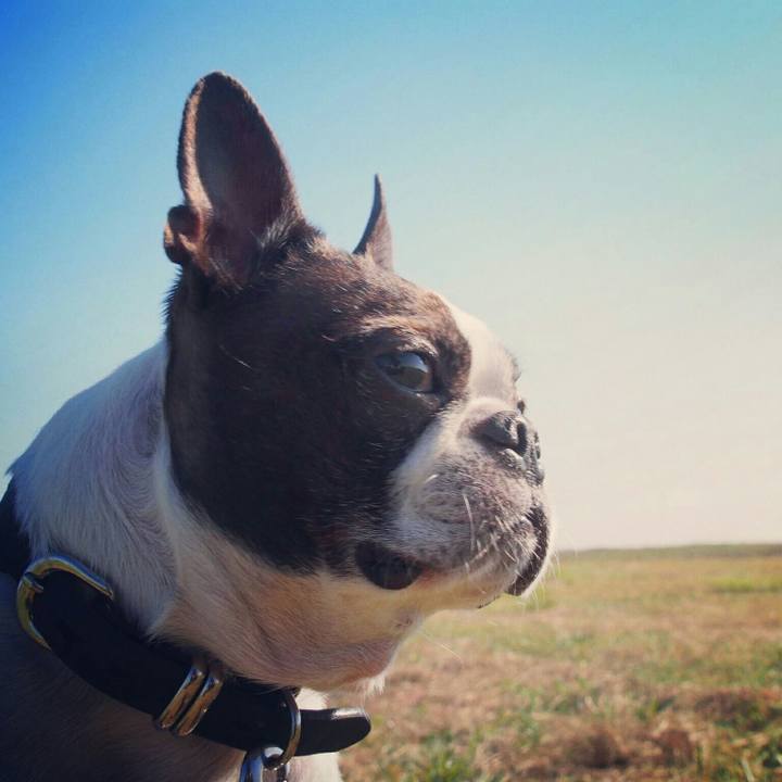 192e7447 2e72 4238 b308 bb66633b331e