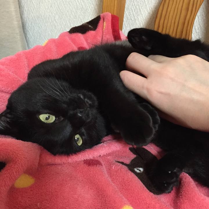 192f8d0e ae67 408e aa04 e82edcba77b0