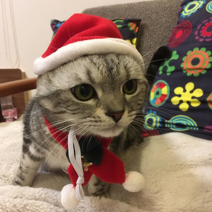 192fbd9f 5c94 43f4 a024 144e56e872a8