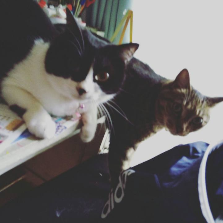 192ffccd a7ea 4088 8841 648e411d6dbc