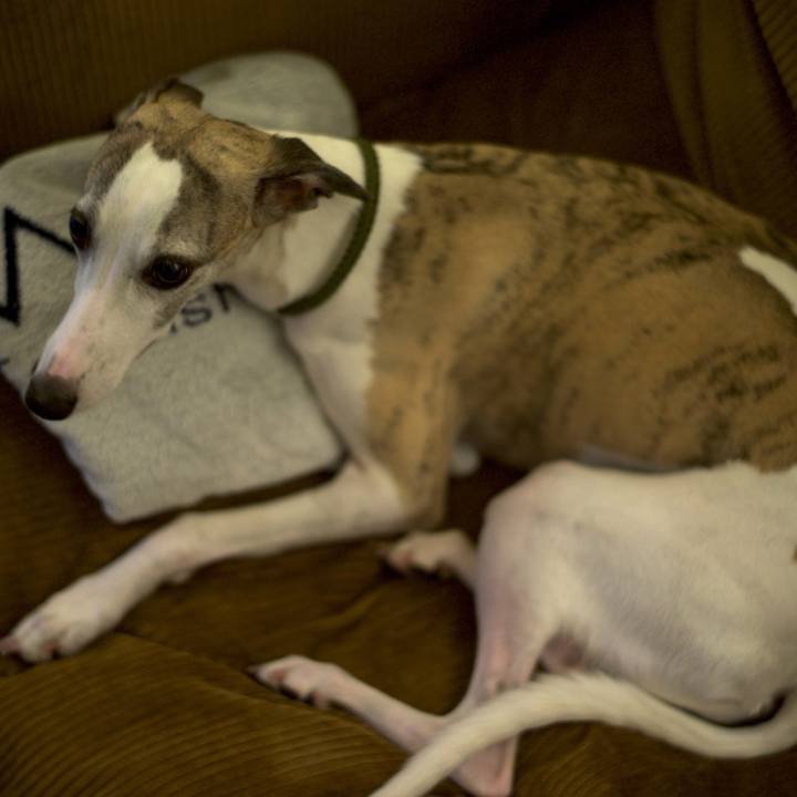 193002a8 6e60 4824 b5d6 9ce2a2b07ed7