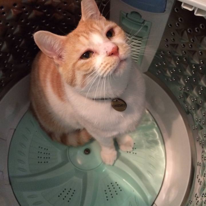 1930bef3 6e59 4b11 b3da e10c0e41b8cb