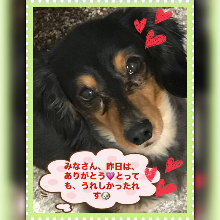 1931a1c1 5532 4a0b 83d7 4e73c248585a