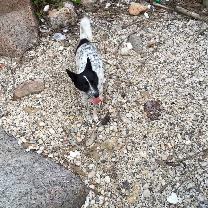 1931b110 f81a 416a b2b0 06ab37ba9f8e