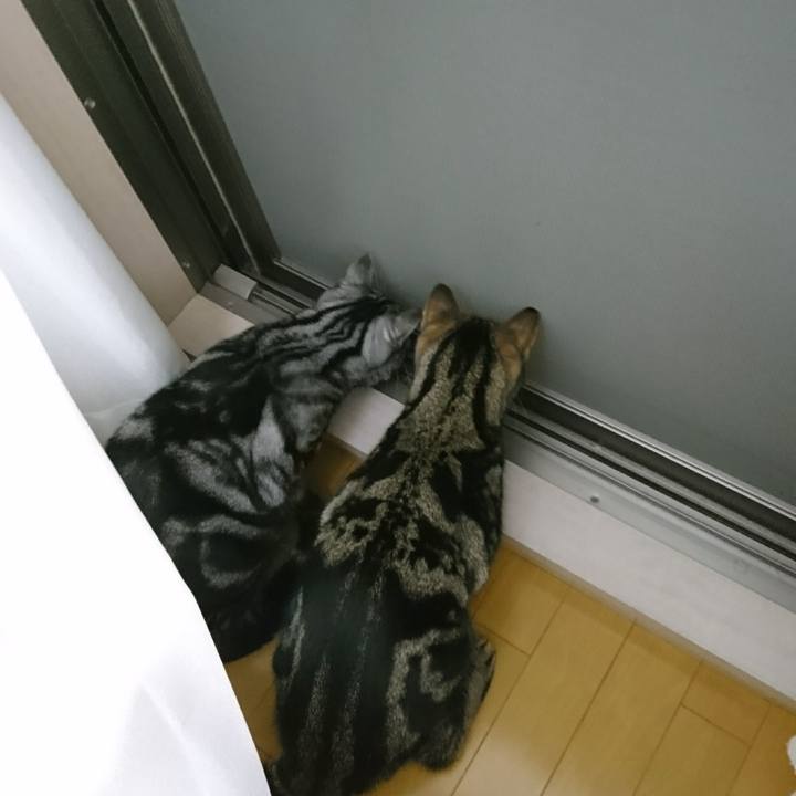 1931e6e3 73ed 47e8 93fc b917da029107