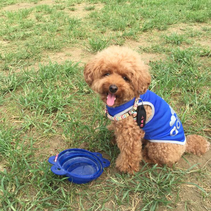 1931e9dc 639c 40f8 9caf cdedae19e6f2