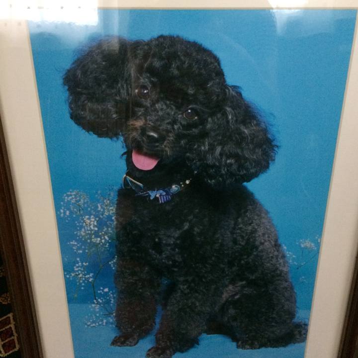 19328b5e a65a 42e8 b738 355621269504