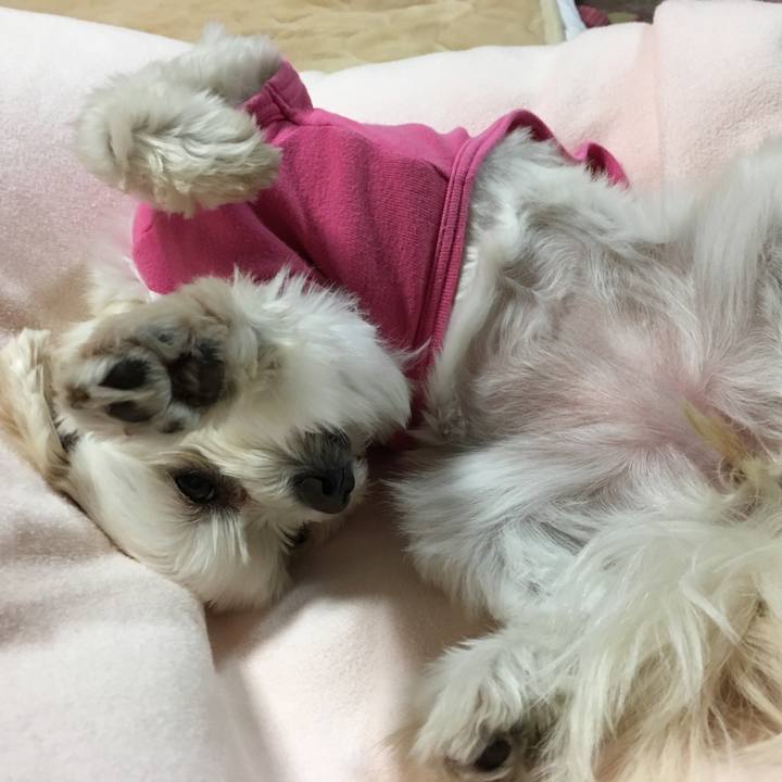 19329e4d cdb7 43bf 8b73 5ab8645e6e31