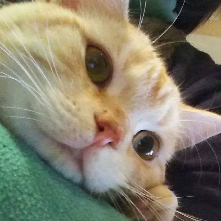 19332453 705b 458f 9207 7c7919fc01c8