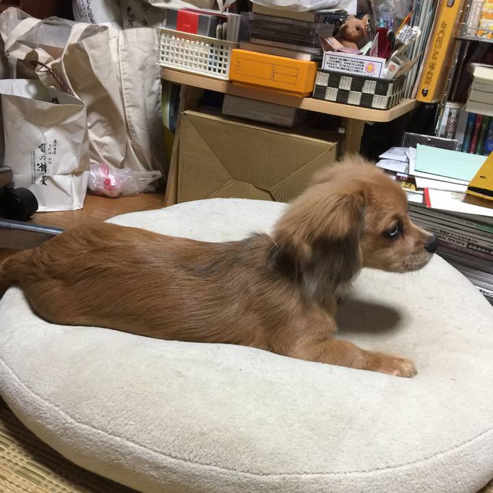 1933a1d4 9a2a 4e63 8577 c60e1e641c9e