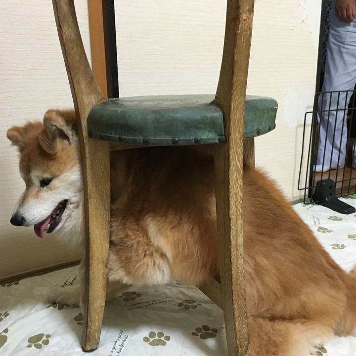 1933e9cd 7e7c 4fe6 9ca1 3a058882890f