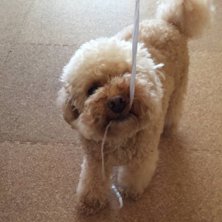 1934fff7 d139 43e5 a6c1 cb99c92cdd4e