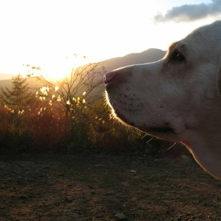 193538cc 0382 4ced 9525 5ea4d5d446c2