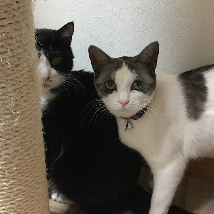 1935b479 f3ef 40a6 8ce4 013e7cd54751