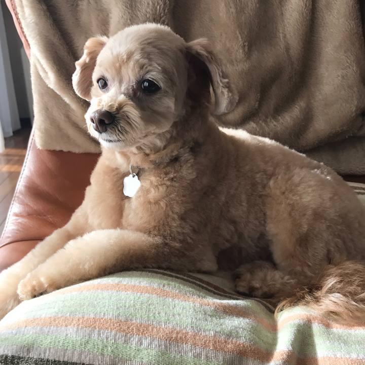 1937e9dc 2d50 44e8 a992 b32017dce0d4