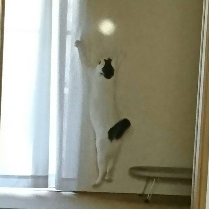 19381944 23a0 4a84 bac1 12b99186ce3e