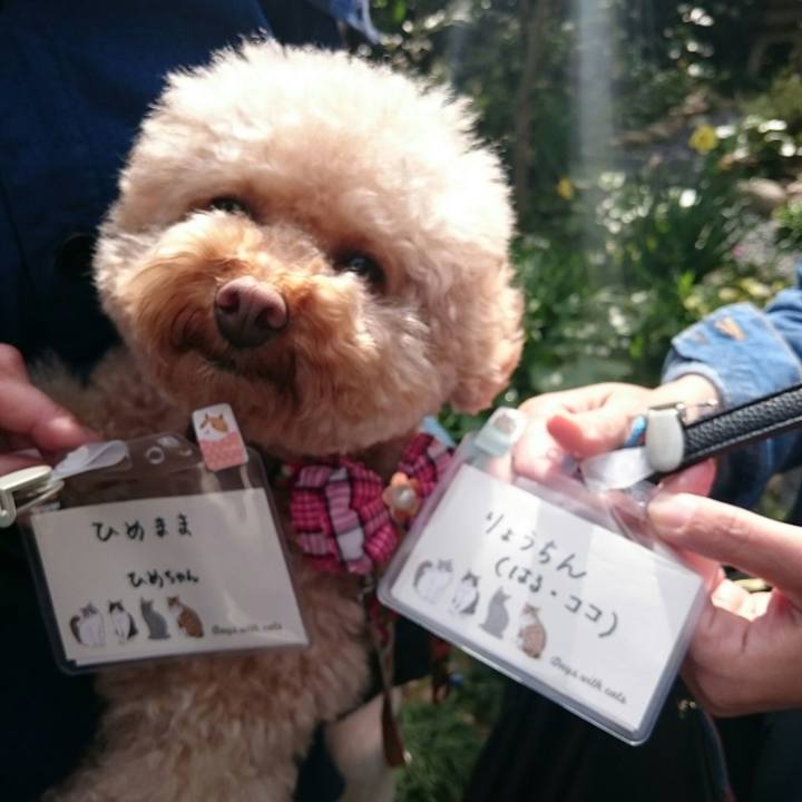 1939bb41 4d89 47af 9507 7b64176f5cb2