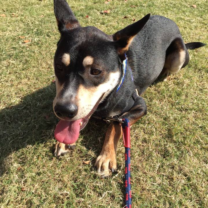 1939c74d 254a 46ca acee ba3c45c0fdab