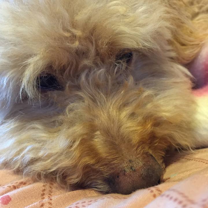 193a5b11 3d27 462c 8b8f ec54a9836c8a