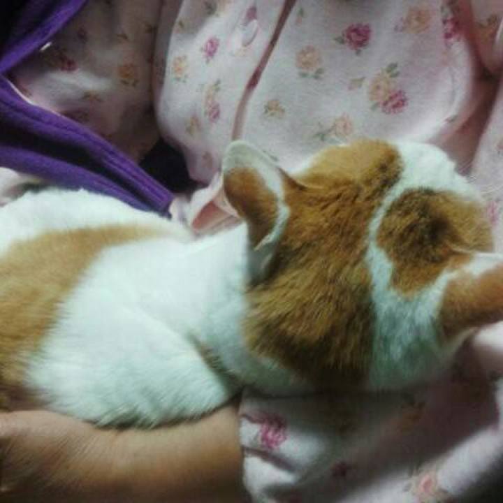 193ae795 16f2 4754 887f 2a64116a10cb