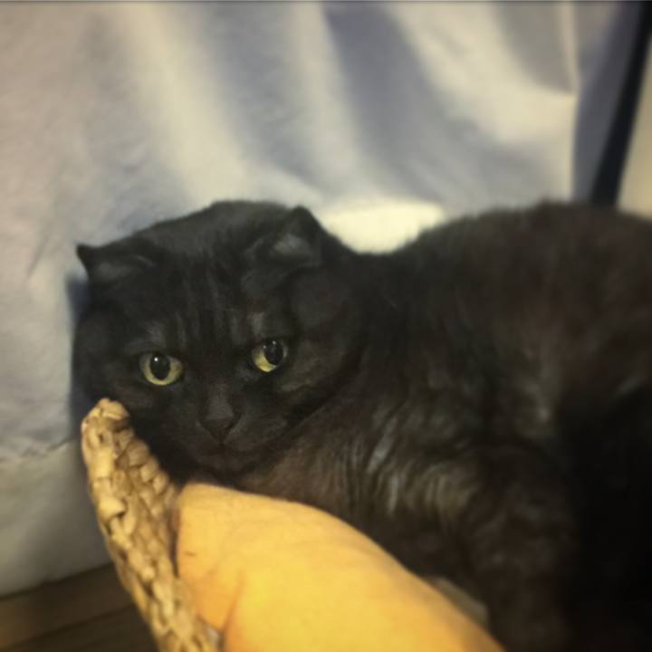 193c77ca e319 4471 99ad e55155a5679d