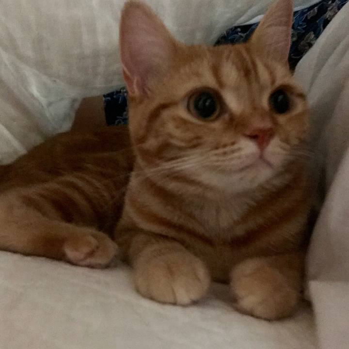 193cb41c f540 457e 8033 d914a01f57a1