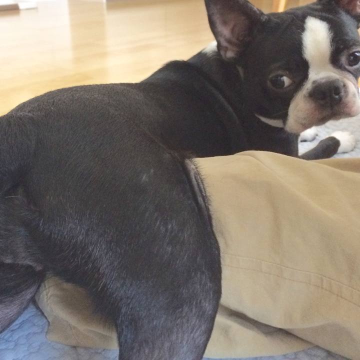 193cccc4 9403 46e8 ac48 a3cfae131648