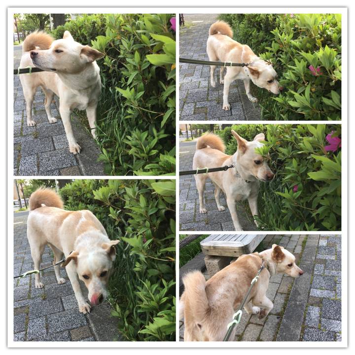 193d6490 a372 4156 9f8e 44d4007c6277